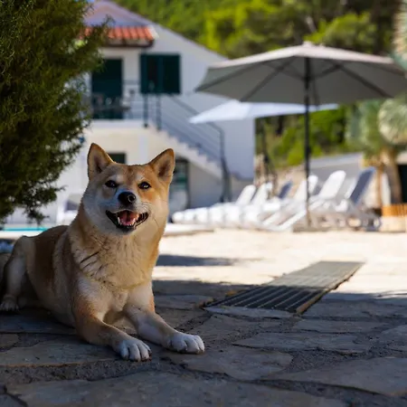 Villa Kuca Za Odmor Katarina