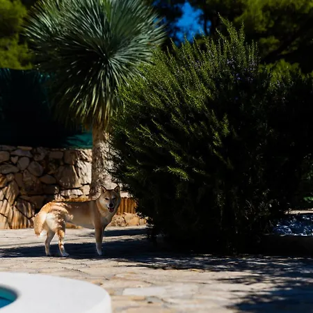 Villa Kuca Za Odmor Katarina