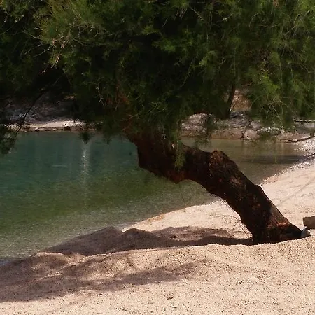 Kuca Za Odmor Katarina